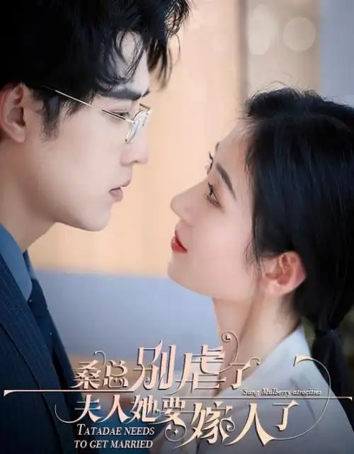 巷口的糖水铺 电视剧全集免费观看